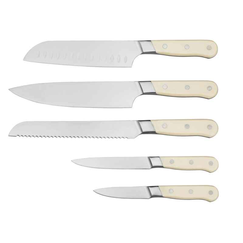 AYO-1004AB-CW New Product Ideas Household Stainless Steel 5 PCS Kitchen knives With ABS Handle